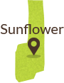 Sunflower - 4 Corner Properties