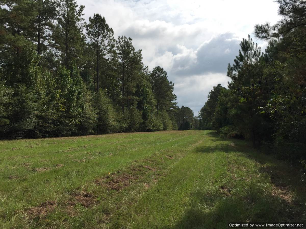 1. Pike County Mississippi Development Land For Sale 4 Corner Properties