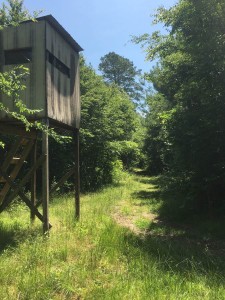 Conehatta Mississippi Hunting Land For Sale