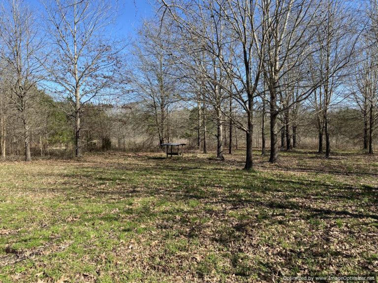 land with manufactured homes for sale in rankin county ms